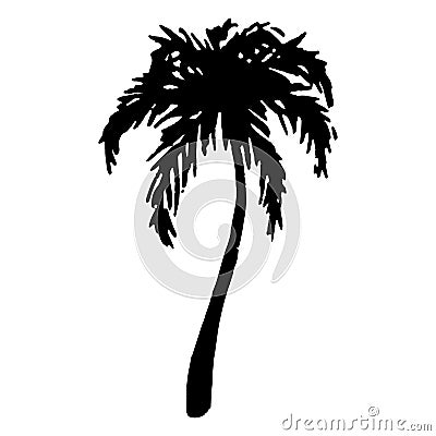 Monochrome black and white tropical palm tree sea ocean beach hand drawn sketch vector Vector Illustration