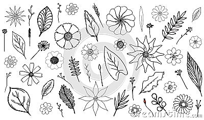 Monochrome botanical set Vector Illustration