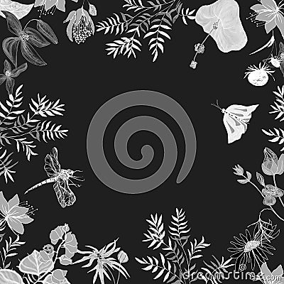 Monochrome butterflies, dragonflies, wildflowers frame illustration on black background. Cartoon Illustration