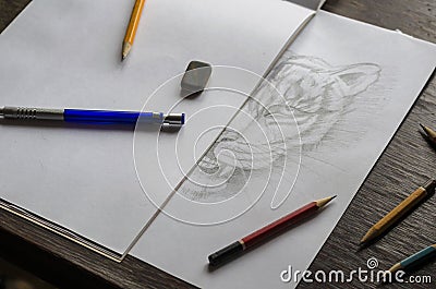 Monochrome Drawing of a tiger made by a pencil on a white sheet of paper Stock Photo