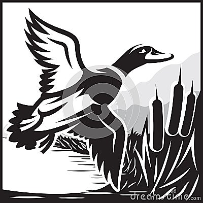 Monochrome illustration with flying wild duck over the water Vector Illustration