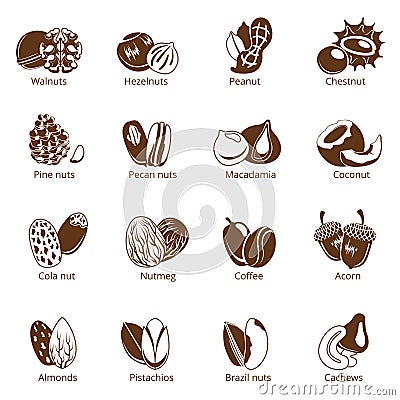 Monochrome illustrations of nuts. Vector pictures isolate on white background Vector Illustration