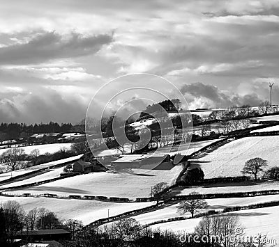 Winter monochrome, snow, sun, cloudy and bleak. Stock Photo