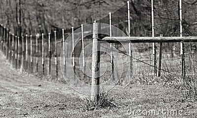 Long fence in the farm Stock Photo