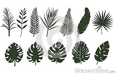 Monochrome leaves of different tropical plants. Vector Illustration