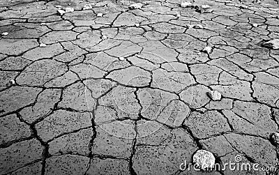 Monochrome mud texture of drying prism desiccation cracks in soil. Stock Photo
