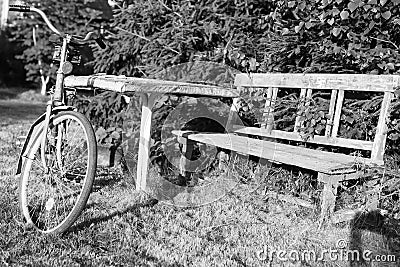 Monochrome photo bicycle on a rural nature Stock Photo