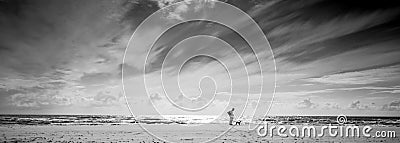 Monochrome sea shore landscape Stock Photo