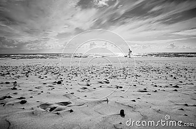 Monochrome sea shore landscape Stock Photo