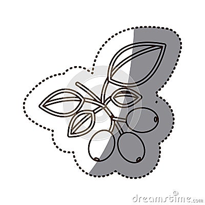 monochrome sticker contour with coffee tree branch Cartoon Illustration