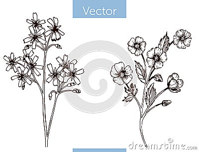 Monochrome vector hand drawn wildflowers on white background Vector Illustration