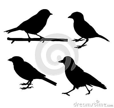 Monochrome vector illustration of black silhouettes of little birds Vector Illustration