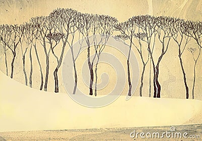 Monochrome winter landscape. Bare trees on quiet lake Stock Photo