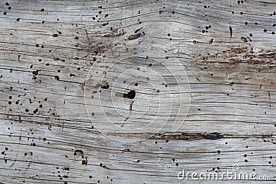 Monochrome wood background and texture Stock Photo