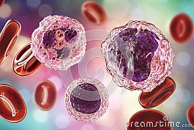 Monocyte, lymphocyte and neutrophil surrounded by red blood cells Cartoon Illustration