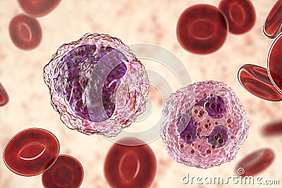 Monocyte and neutrophil surrounded by red blood cells Cartoon Illustration