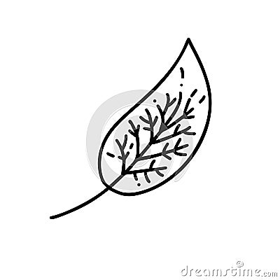 Monoline leaf of tree logo. Outline emblem in linear style. Vector abstract icon for design of natural products, flower Vector Illustration