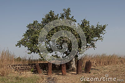 Monolithic stones of Wassu Stock Photo