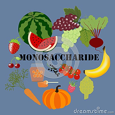Monosaccharide healthy nutrient rich food vector illustration Vector Illustration