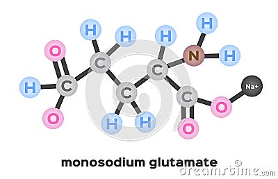 Monosodium glutamate structure vector Vector Illustration
