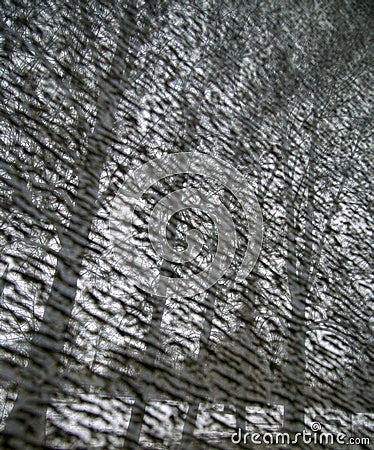 Monotone uniformly distributed fuzzy spots and bare clear trees Stock Photo