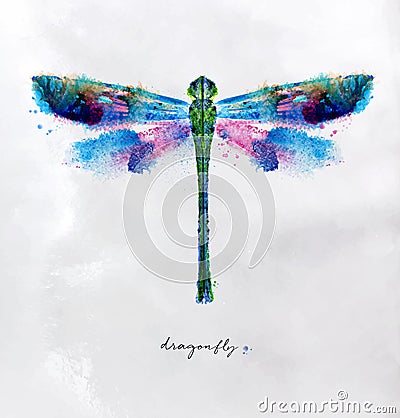 Monotype vivid dragonfly Vector Illustration