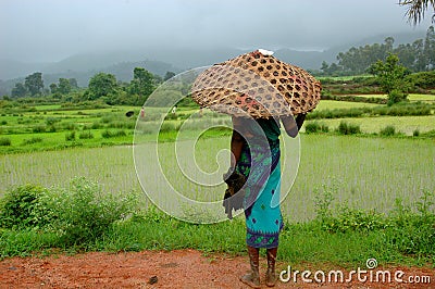 Monsoon Stock Photo