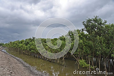 Monsoon Season In India Stock Photo