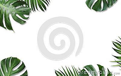 Monstera deliciosa and yellow palm tropical leaves isolated Stock Photo