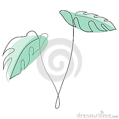 Monstera delicosa plant leaves continuous one line drawing minimalist design. Simple minimalism style on white Vector Illustration