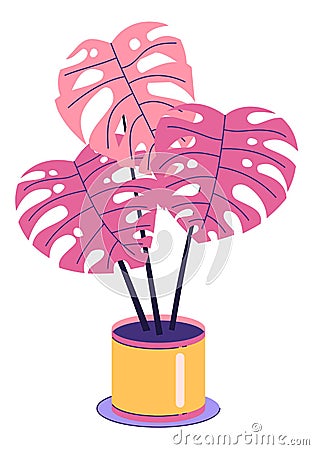 Monstera flower in flowerpot Vector Illustration