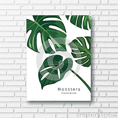Monstera green leave collections white frame, on block wall background, Eps 10 Vector Illustration