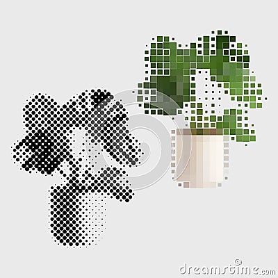 Monstera houseplant bush growing in pot to decorate home interior. Room plant with green petals. Vector Illustration