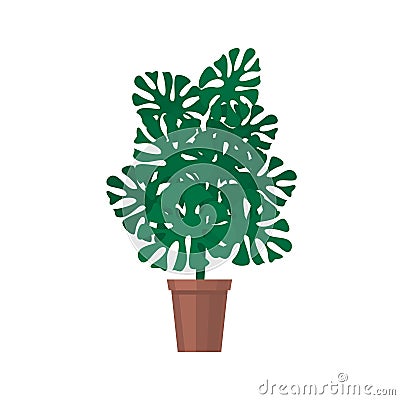 Monstera houseplant isolated on white Vector Illustration