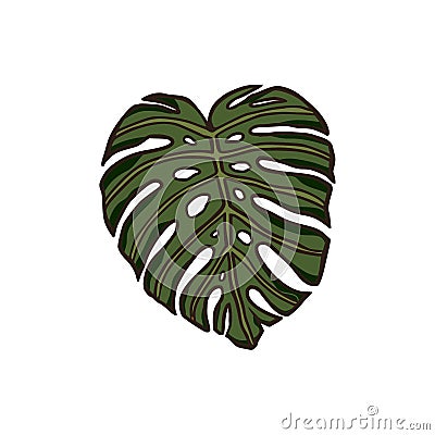 Monstera leaf jungle plant exotic tropical illustration. Vector Illustration