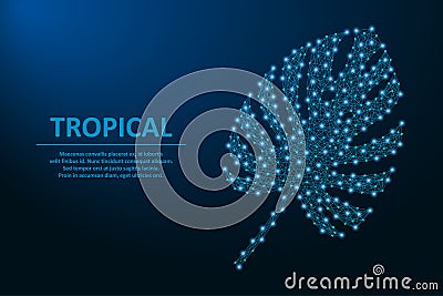 Monstera leaf made by points and lines, polygonal wireframe mesh on night sky with star, tropical palm leaves. Vector. Vector Illustration