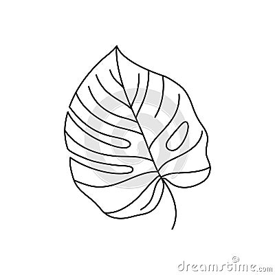 Monstera leaf of tropical plants. Outline Palm leaf In a Trendy Minimalist liner Style. Vector Illustration. Vector Illustration