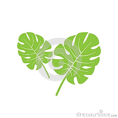 monstera leaf vector element icon. monstera leaves vector decoration Vector Illustration