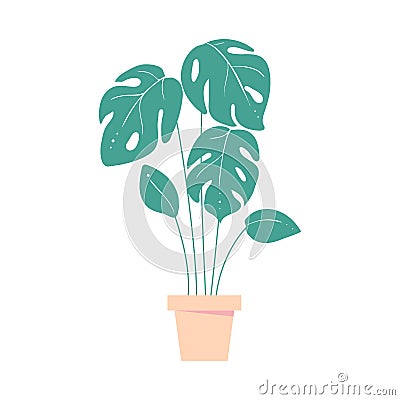 Monstera leave. Home tropic plant in pot. Exotic leaf of palm Vector Illustration