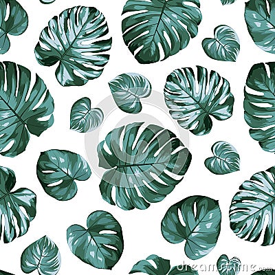 Monstera philodendron split leaves exotic tropical plant seamless pattern. Green blue windowleaf on white background. Vector Illustration