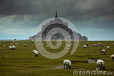 Mont St. Michel church near by the sea in Northern of France during cloudy with many sheep Stock Photo