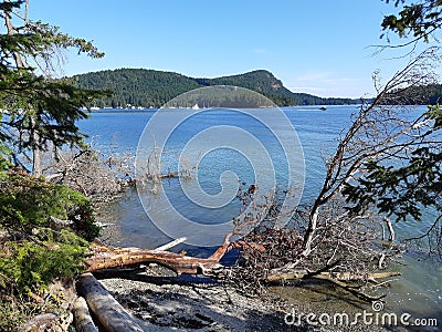 Montague Harbour Marine Park Stock Photo