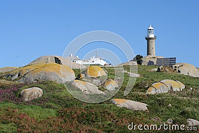 Montague Island Stock Photo