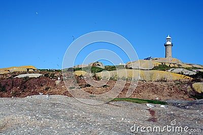 Montague Island Stock Photo