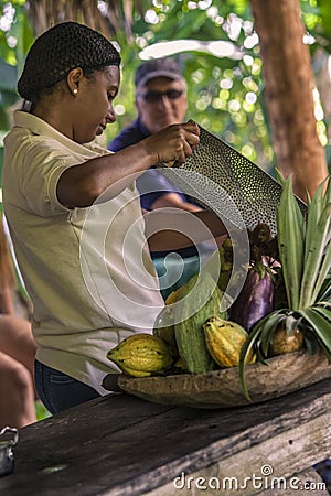 Woman works in a cocoa cultivation in the Dominican Republic Editorial Stock Photo