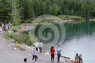 A moose walks along the shore of Swiftcurrent Lake and the Many Glacier Hotel, as tourists watch on. Editorial Stock Photo