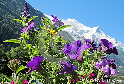 Montblanc view from Chamonix valley through flowers Stock Photo