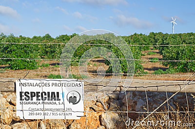 Monte Judeu, Lagos, Portugal August 16 2022: Avocado farm the new green gold protected Editorial Stock Photo