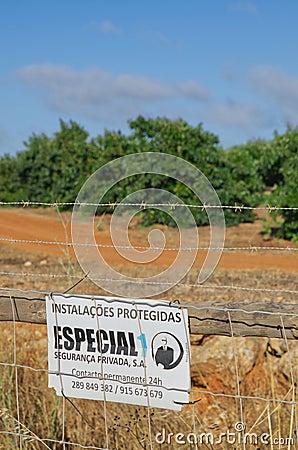 Monte Judeu, Lagos, Portugal August 16 2022: Avocado farm the new green gold protected Editorial Stock Photo