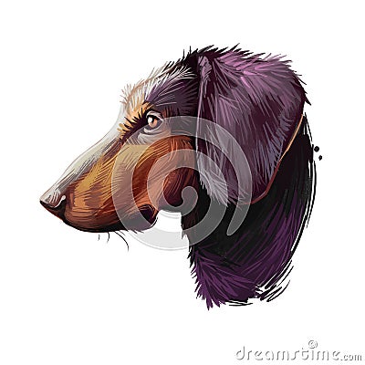 Montenegrin mountain hound, dog of crnogorski planinski goni breed digital art illustration. Pet from Montenegro called Cartoon Illustration